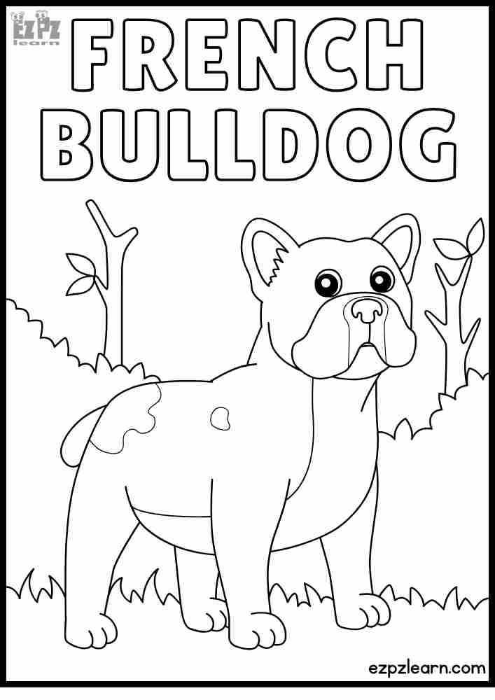 French Bulldog coloring page for kids! Color online or print a free PDF- fun for preschoolers, dog lovers, and early learners.